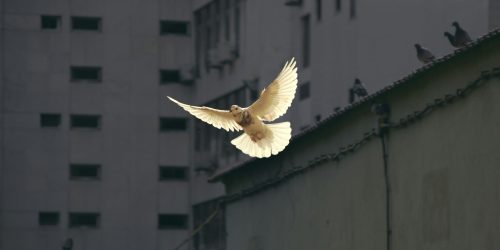 sunguk-kim-JhqBxsORuXA-unsplash